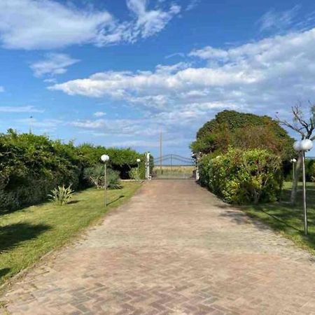 Villa Rosella Appartamento 2 - Con Piscina - 150 M Dal Mare Casa Margherita ภายนอก รูปภาพ